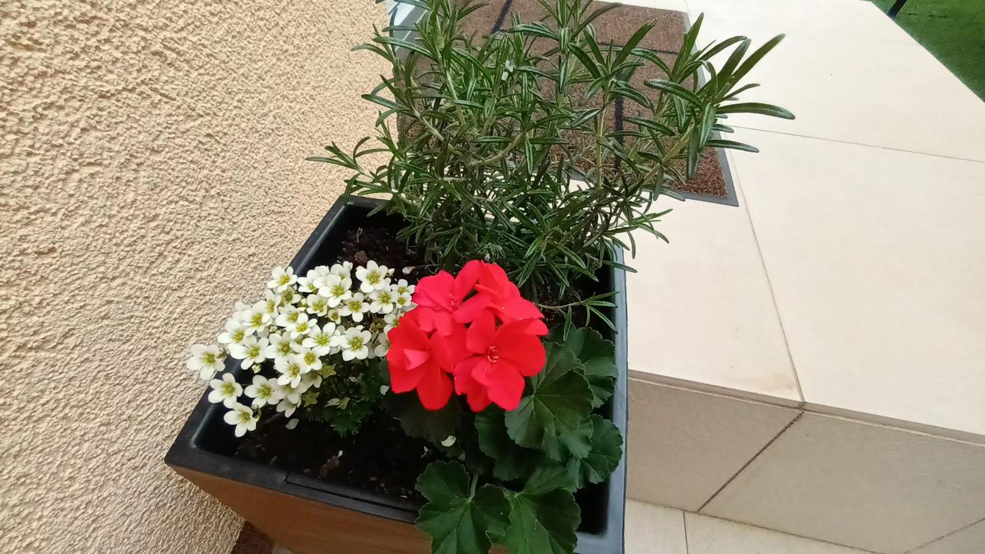 Apartman Sandra -Private Parking And Garden Zadar Ngoại thất bức ảnh