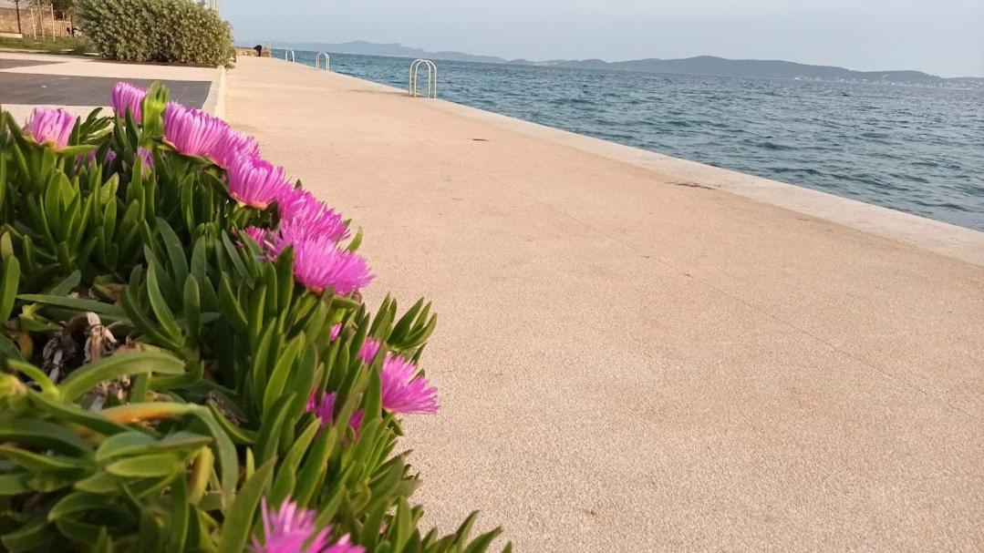 Apartman Sandra -Private Parking And Garden Zadar Ngoại thất bức ảnh